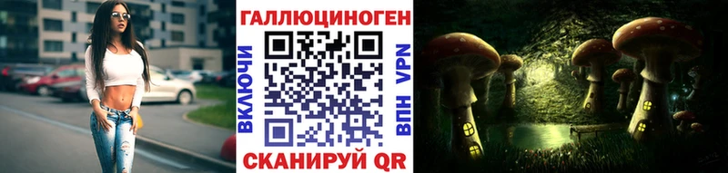 блэк спрут ссылки  магазин    Магадан  Псилоцибиновые грибы Magic Shrooms 